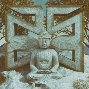 大诗瑶和芷仪的付费原因与影响评价
