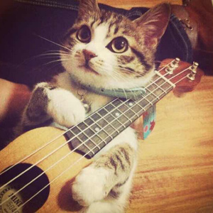 大诗瑶和芷仪的付费原因与影响评价
