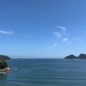 大诗瑶和芷仪的付费原因与影响评价
